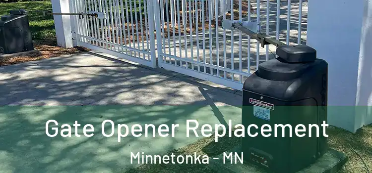 Gate Opener Replacement Minnetonka - MN