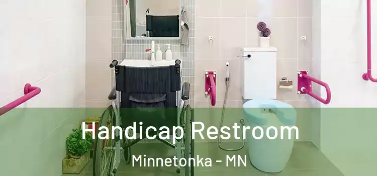Handicap Restroom Minnetonka - MN
