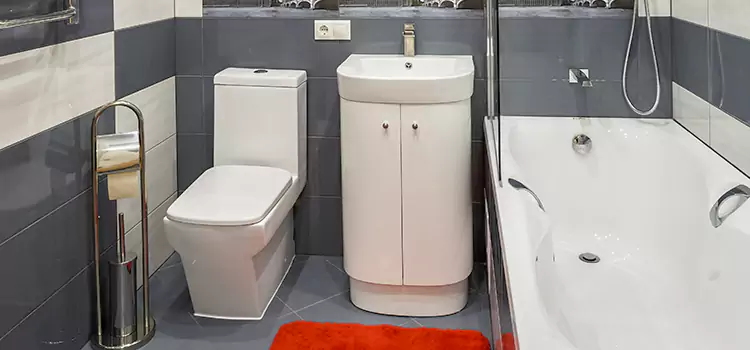 Hansgrohe Shaving Mirror Minnetonka