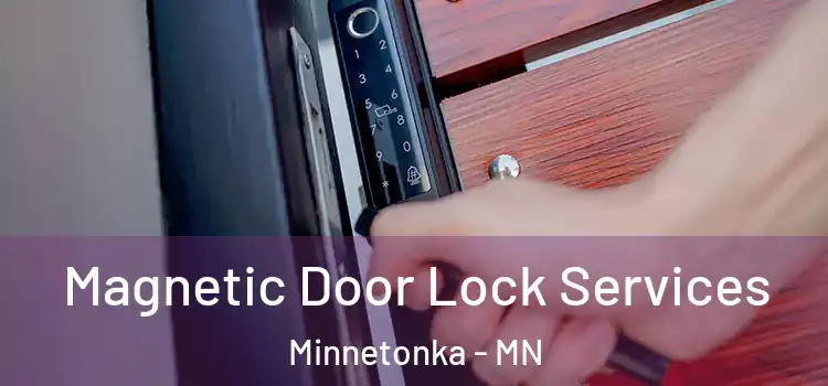 Magnetic Door Lock Services Minnetonka - MN