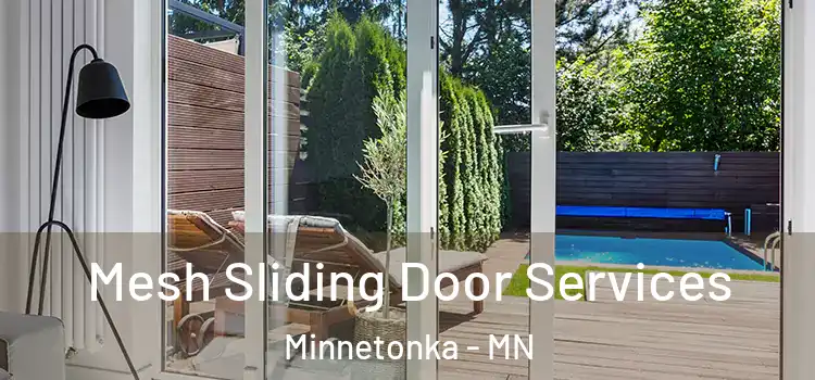 Mesh Sliding Door Services Minnetonka - MN