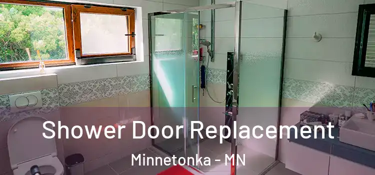 Shower Door Replacement Minnetonka - MN